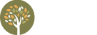 9076_Logo_-_Buriti_originalb bnco